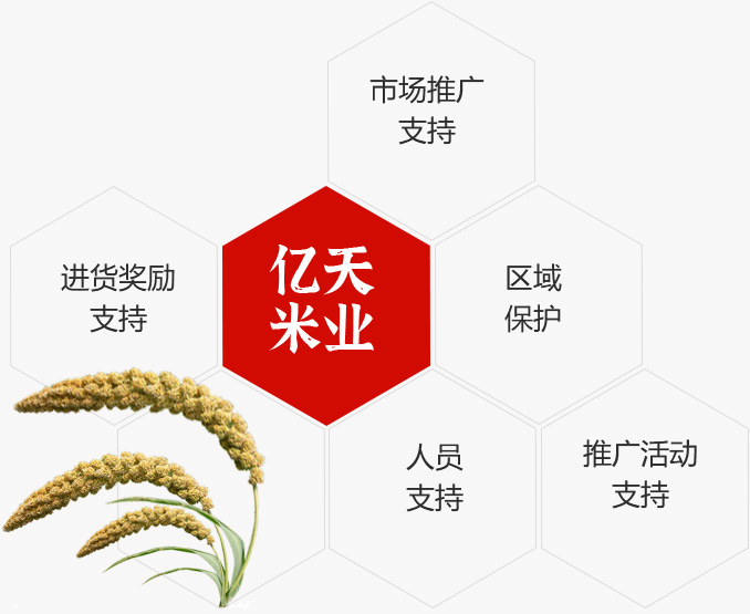 大服务支持
