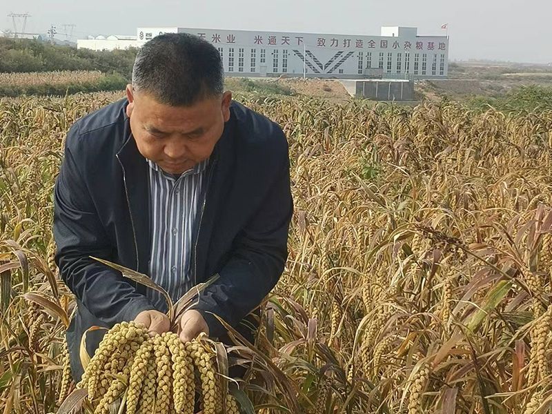 环境